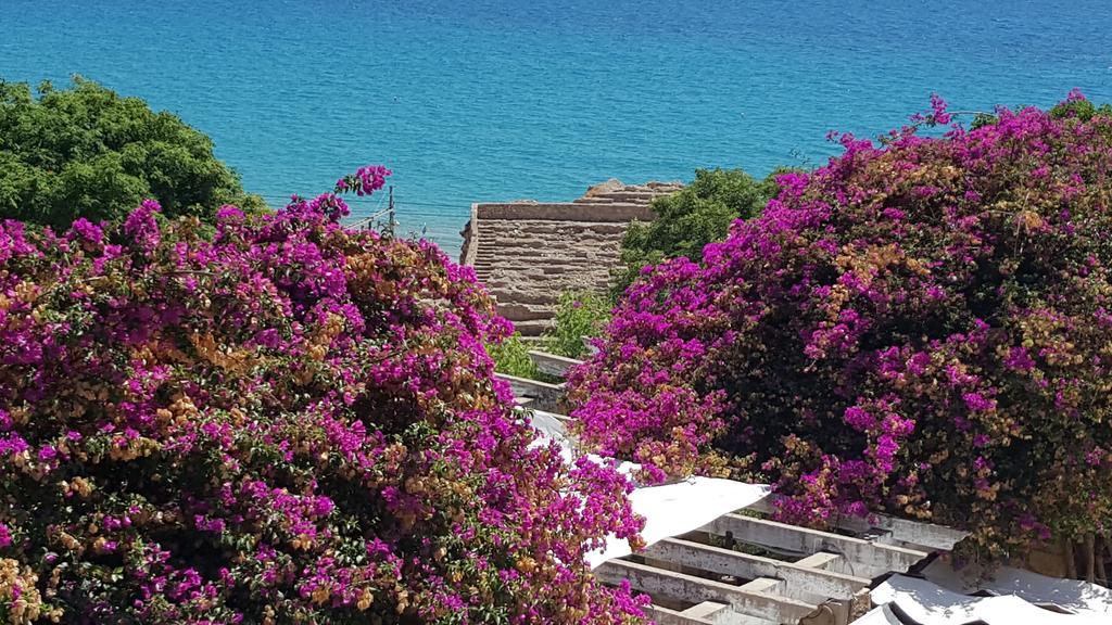 Bettatur Apartament Tarraco Tarragona Zewnętrze zdjęcie
